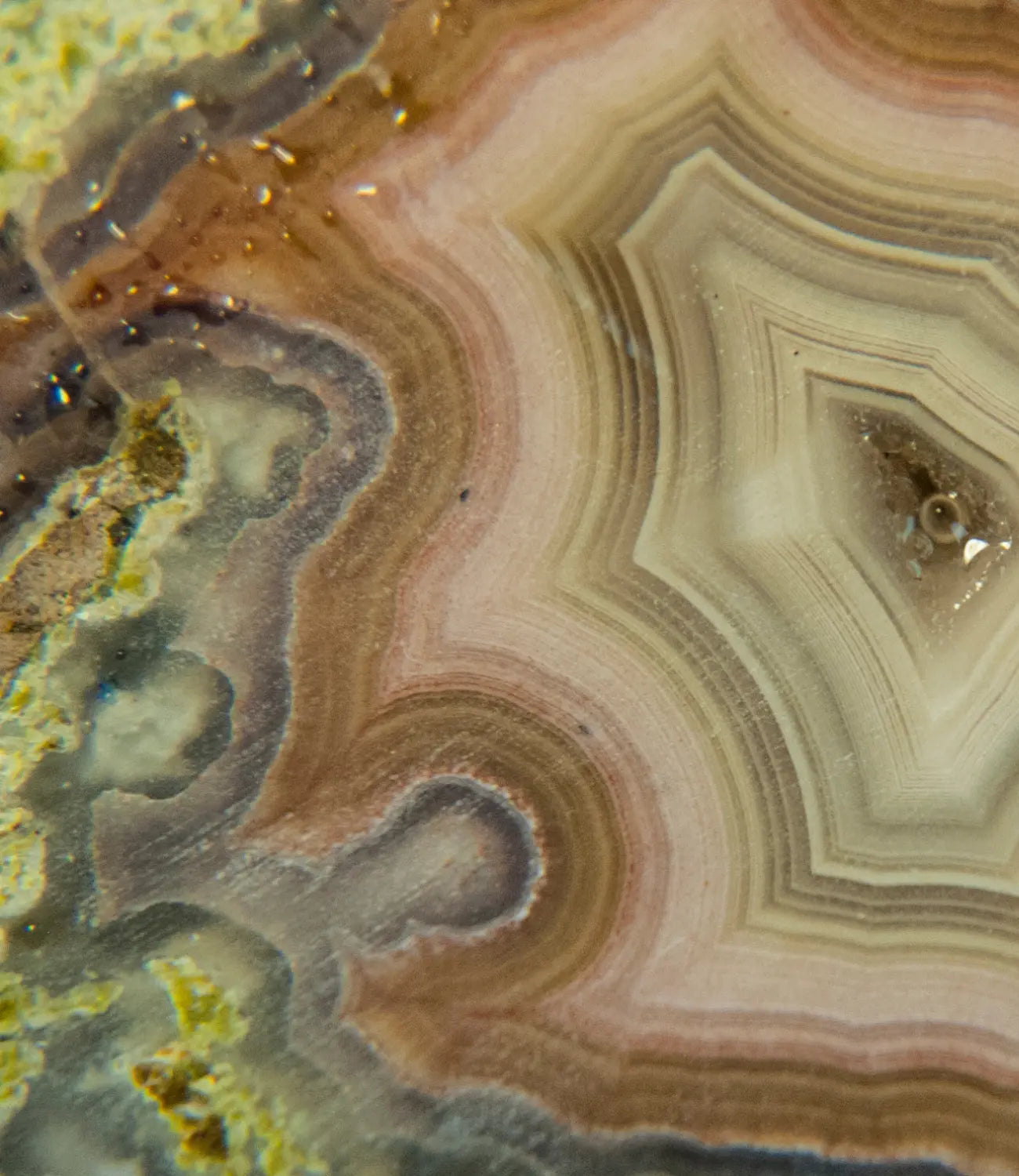Silver Plated Link Necklace with Agate Sunflower Pendant PHOEBE'S 