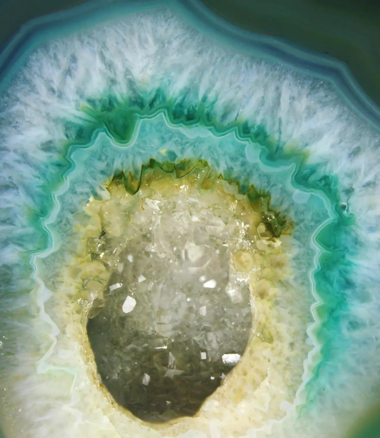 Silver Plated Link Necklace with Agate Sunflower Pendant PHOEBE'S 