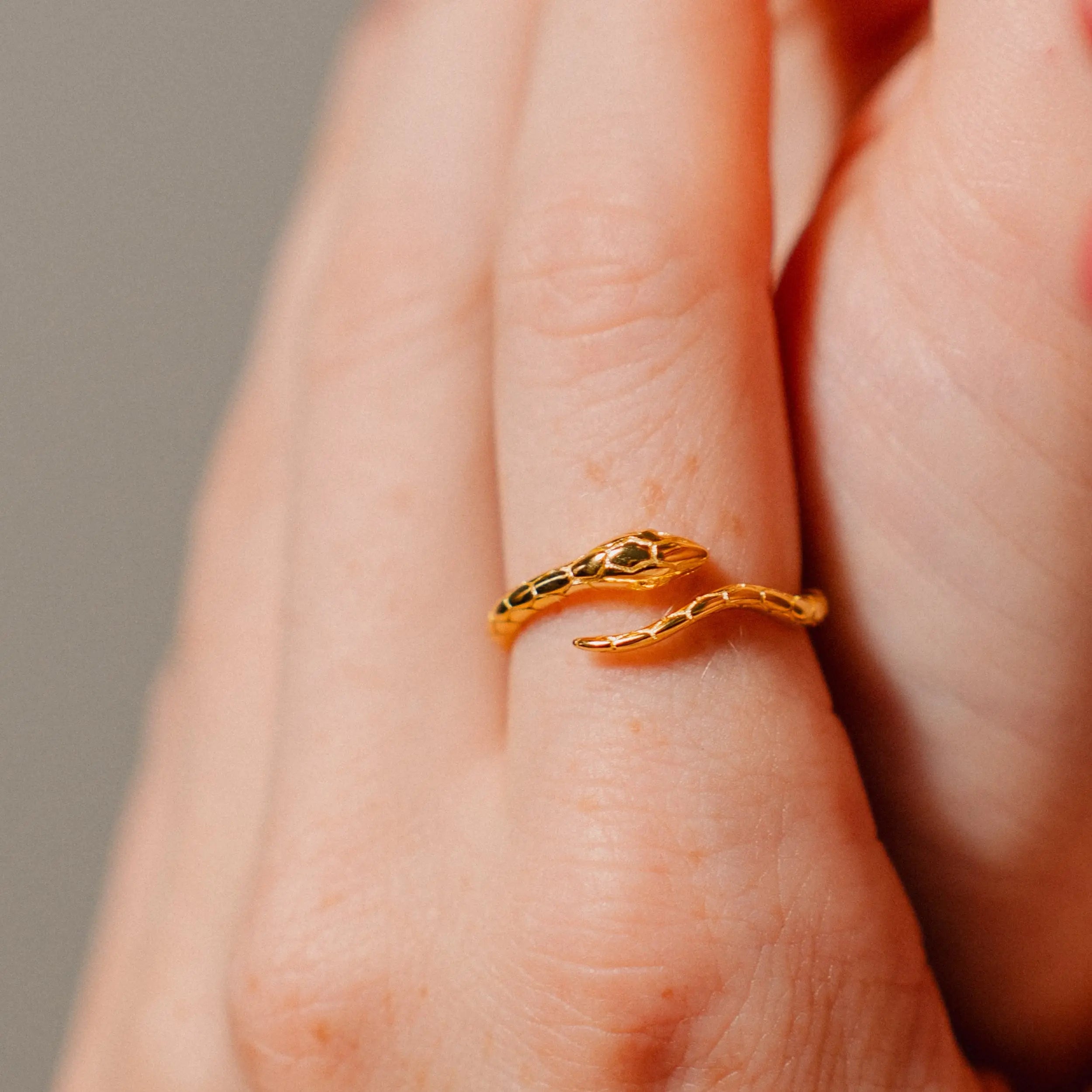 Snake Ring, Gold Ring, Minimalist Ring