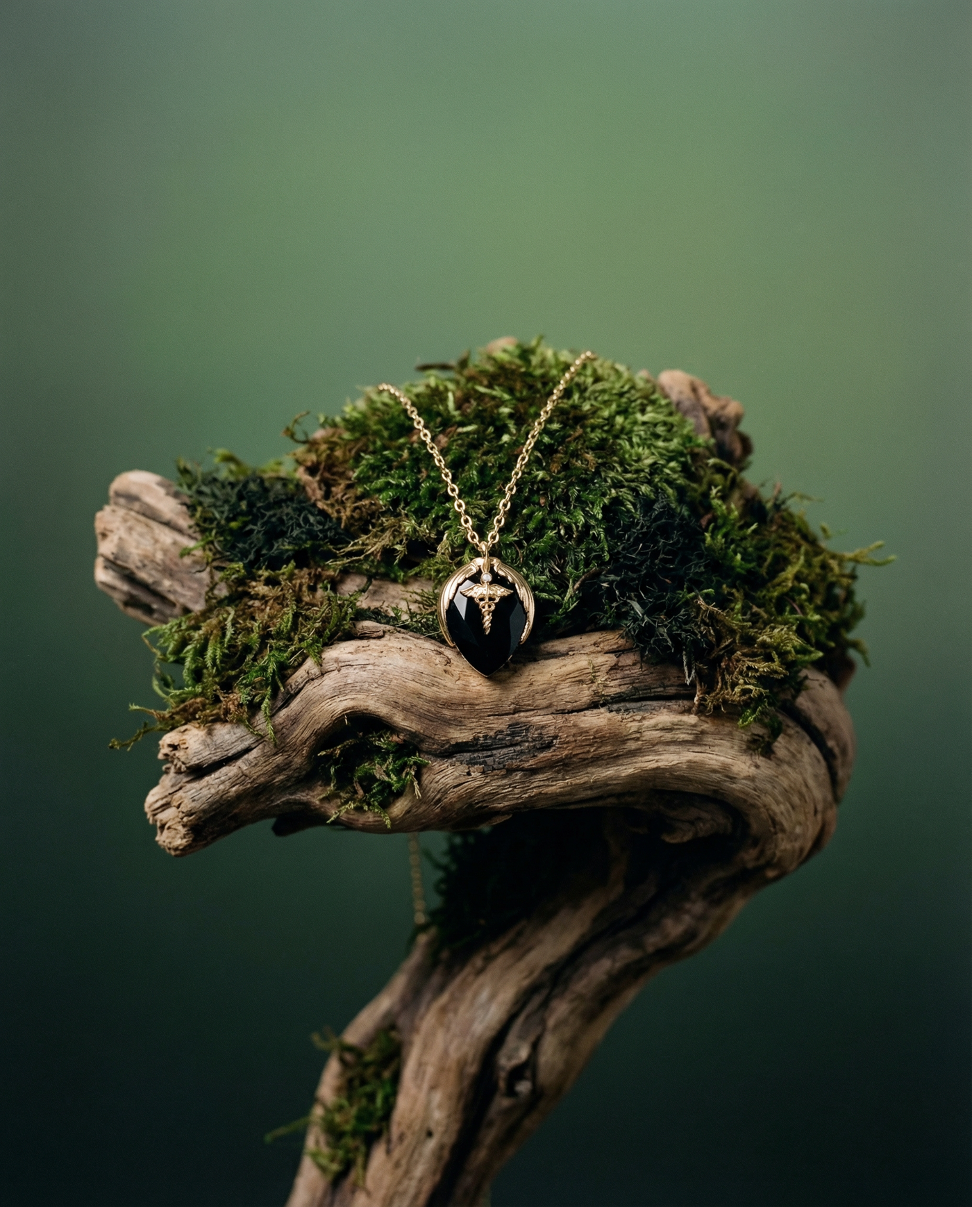 Black Agate Caduceus Heart Necklace