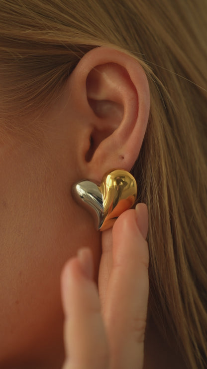 Double Tone Heart Shaped Earrings